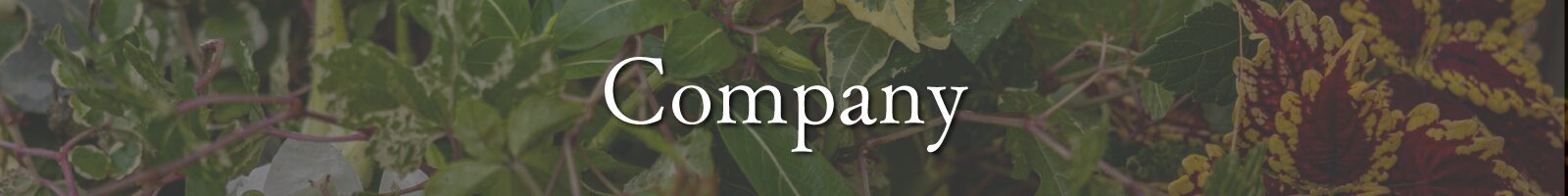 Company