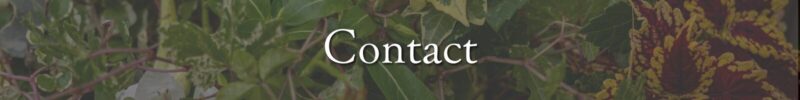 Contact