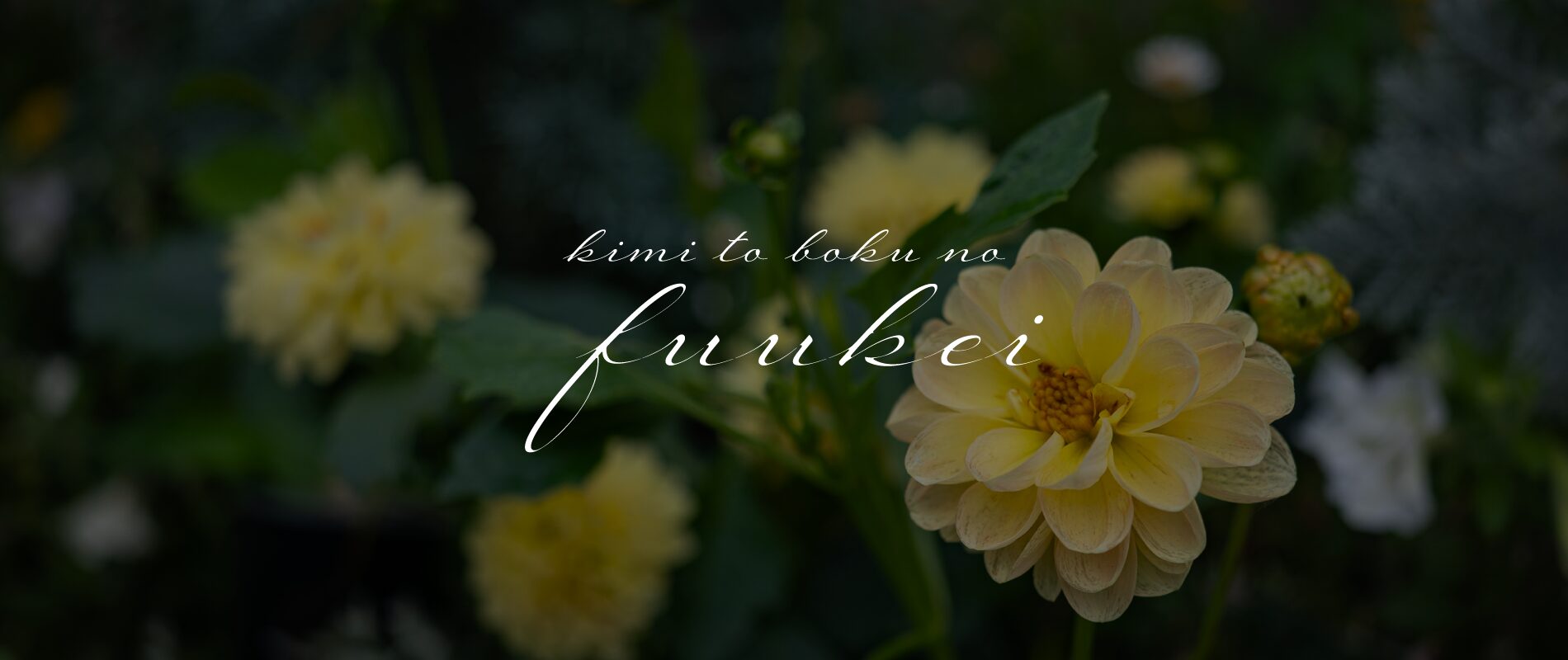 kimi to boku no fuukei～キミとボクのふうけい～