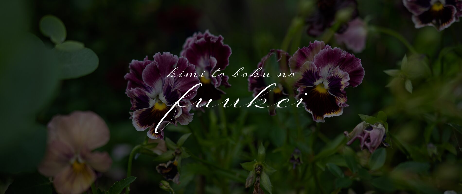 kimi to boku no fuukei～キミとボクのふうけい～